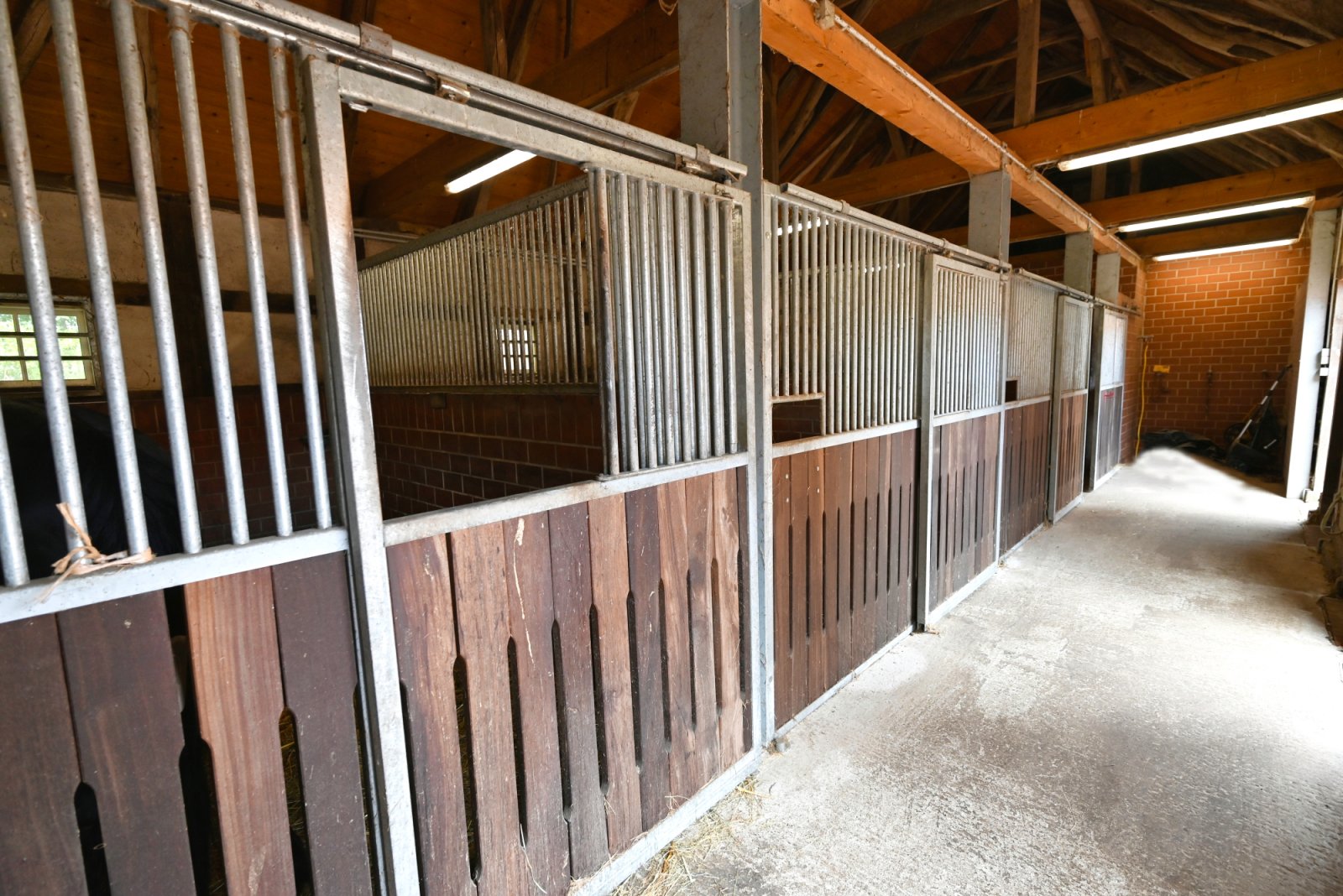4 gepflegte Pferdeboxen mit Weideflächen, Paddock und überdachter Führanlage zu vermieten!