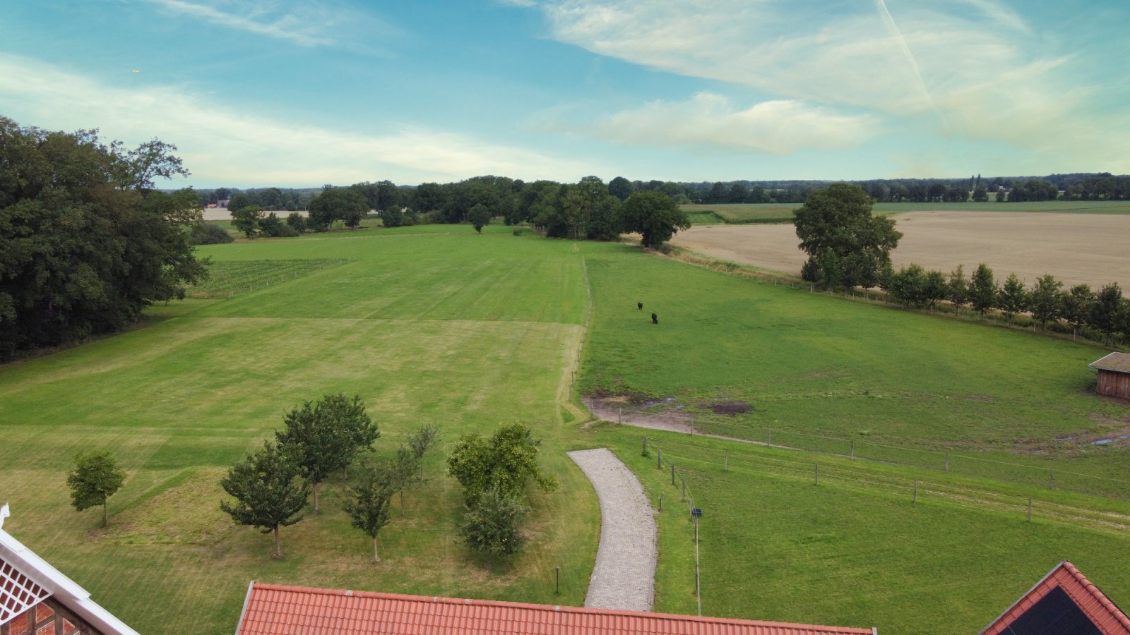 4 gepflegte Pferdeboxen mit Weideflächen, Paddock und überdachter Führanlage zu vermieten!